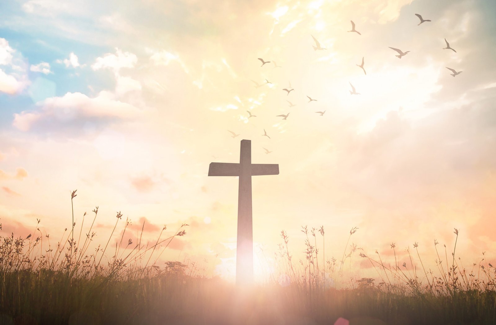 Cross in a field representing salvation through Jesus - Lighthouse Baptist Church Hickman Nebraska beliefs