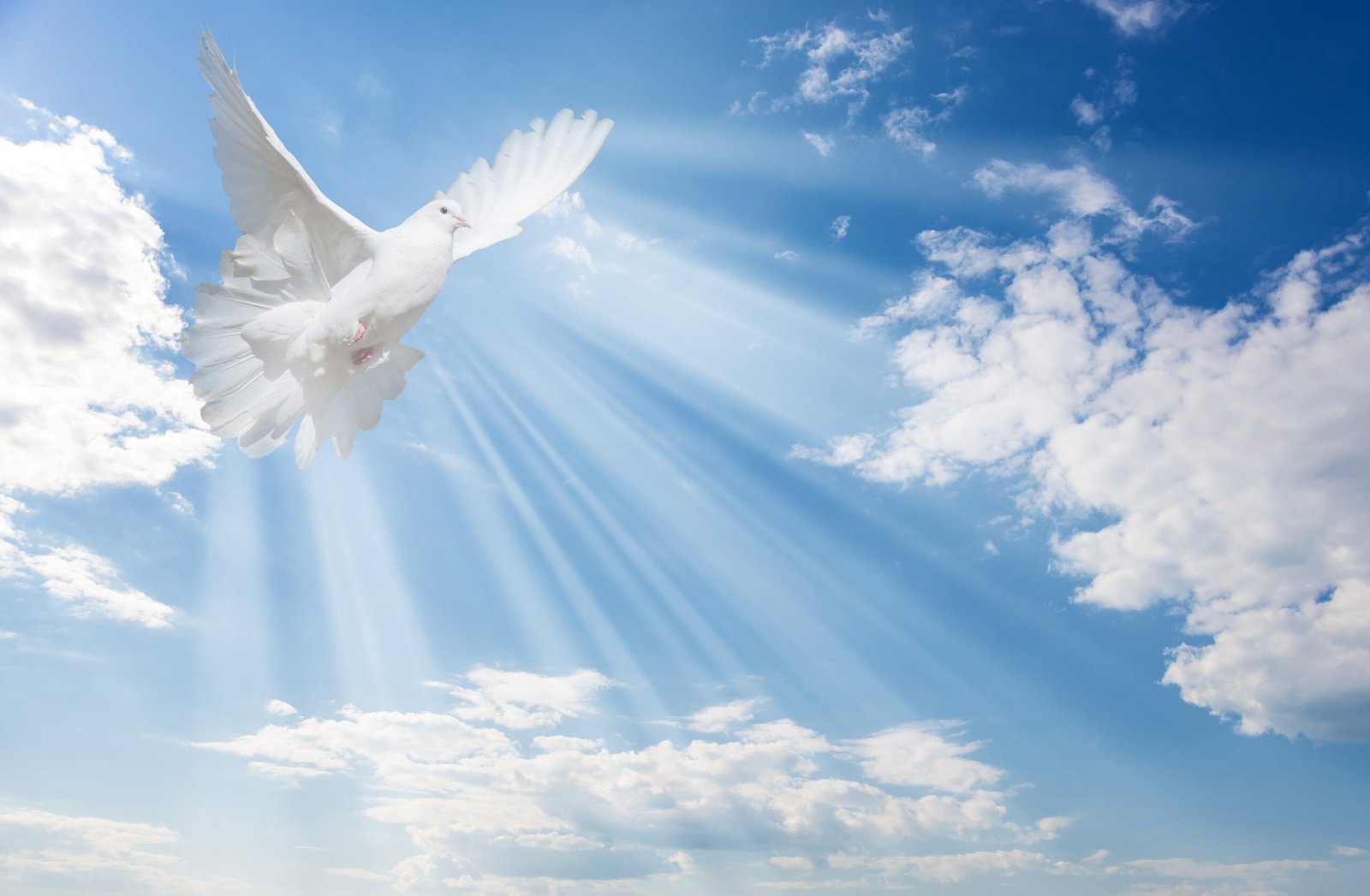 Dove coming down from sky representing the Holy Spirit Lighthouse Baptist Church Hickman Nebraska